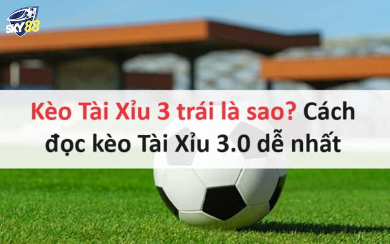Tài Xỉu 3 Trái Và Những Thông Tin Bạn Không Nên Bỏ Lỡ