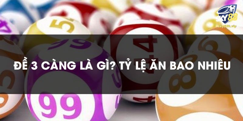 Lô 3 càng là gì?