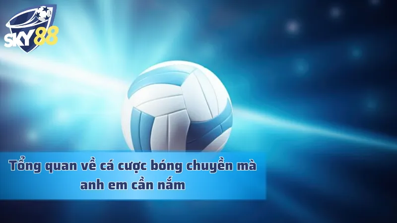 Những nét cơ bản về cá cược bóng chuyền