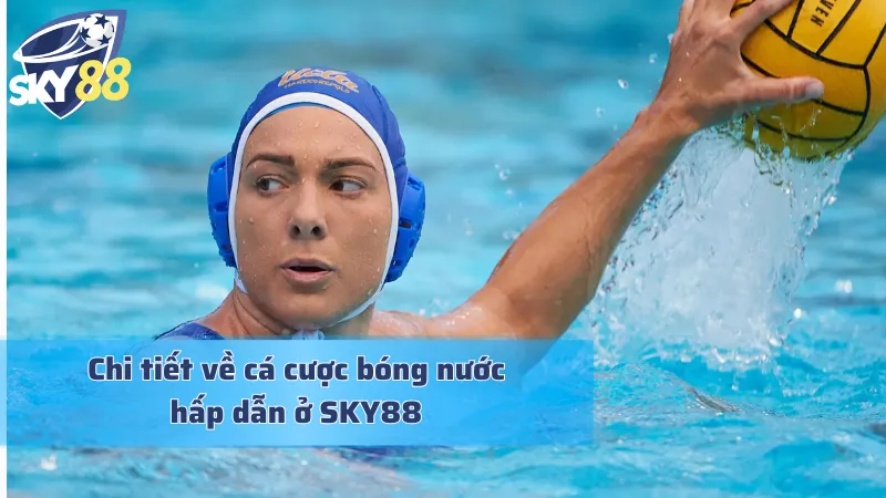 Cá cược bóng nước và những thông tin đáng chú ý
