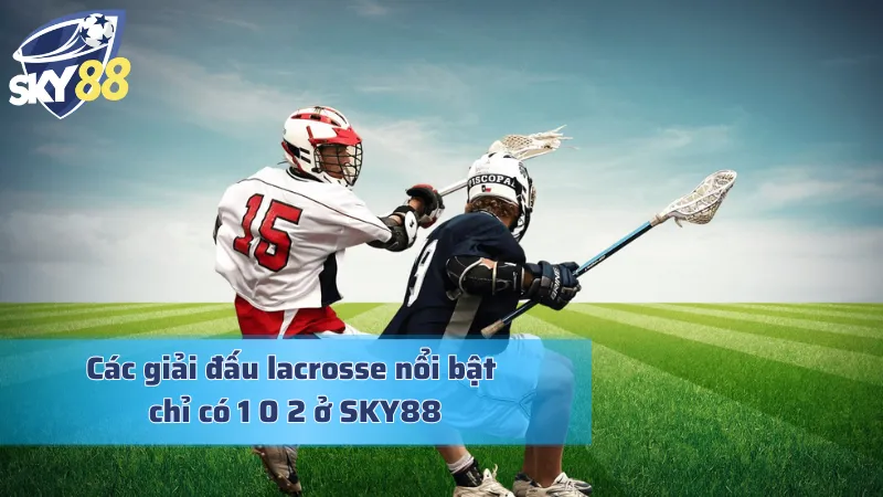 Tổng hợp những giải đấu Lacrosse mà cược thủ không thể bỏ qua