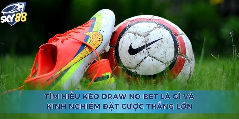 Draw No Bet là gì
