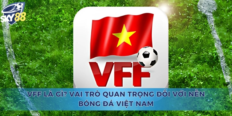 VFF Là Gì