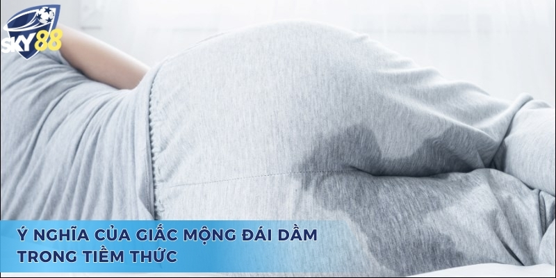 Ý nghĩa chiêm bao và giấc mộng đái dầm đánh con gì